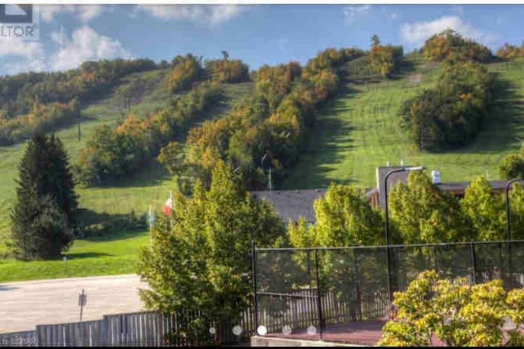 Blue Mountain Studio Oasis Blue Mountains Esterno foto