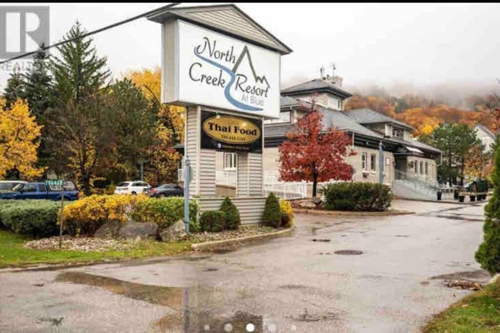 Blue Mountain Studio Oasis Blue Mountains Esterno foto
