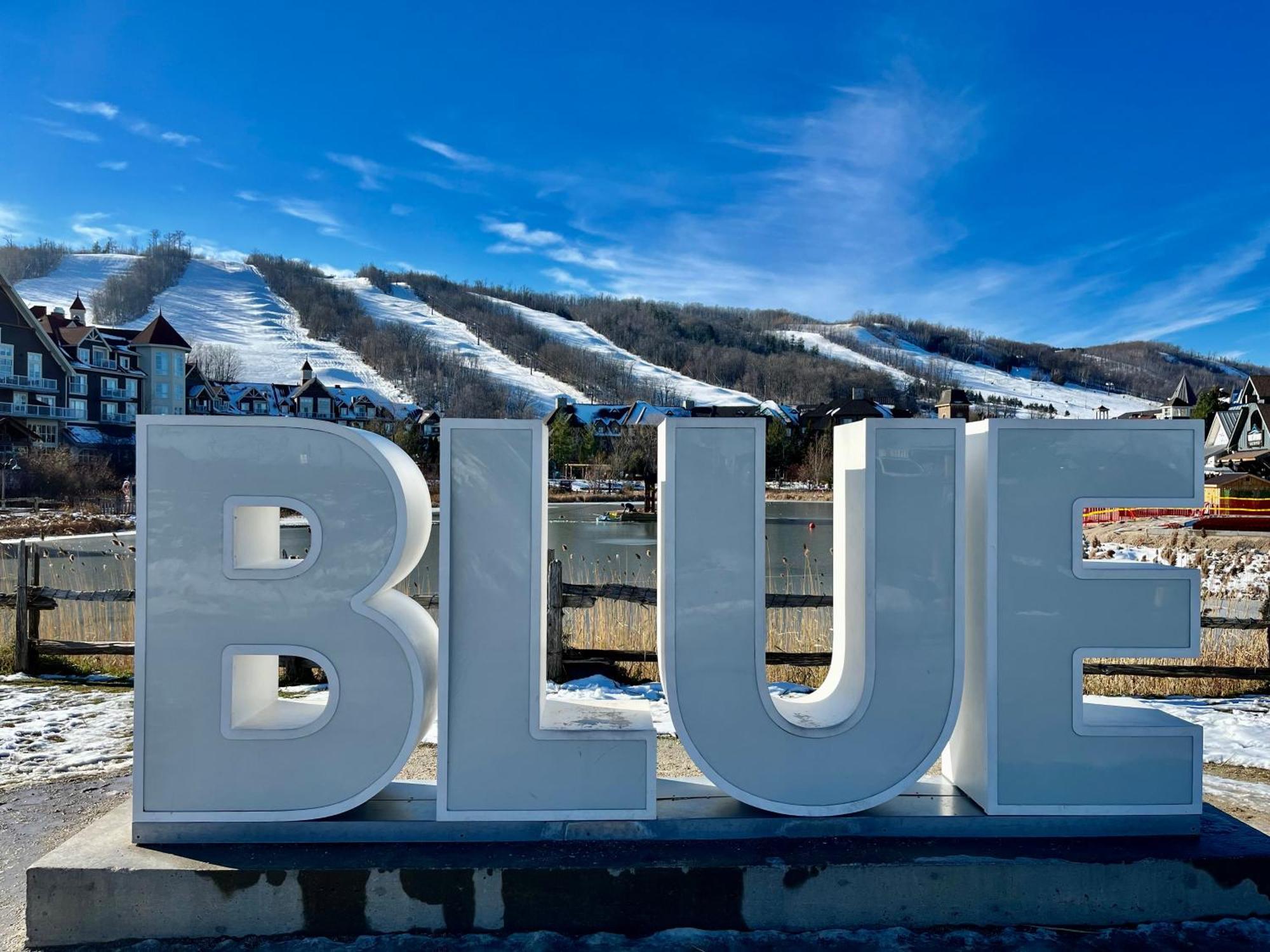 Blue Mountain Studio Oasis Blue Mountains Esterno foto